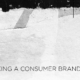 Reworking-a-consumer-brand-s-voice_Carre-Blanc